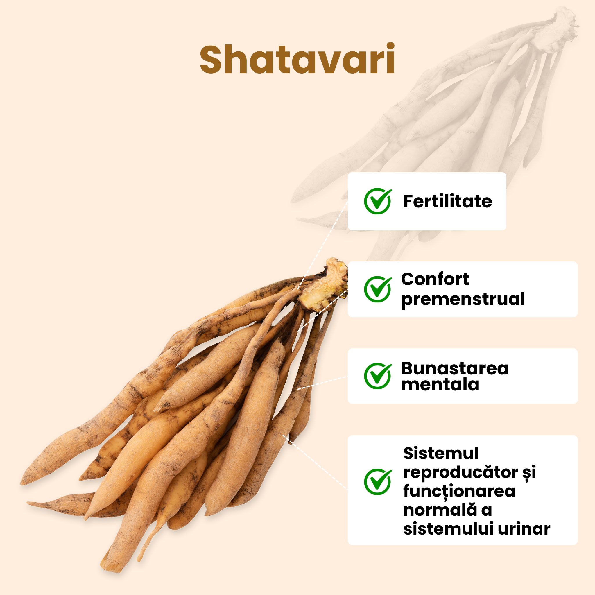 (Rumunština) Shatavari